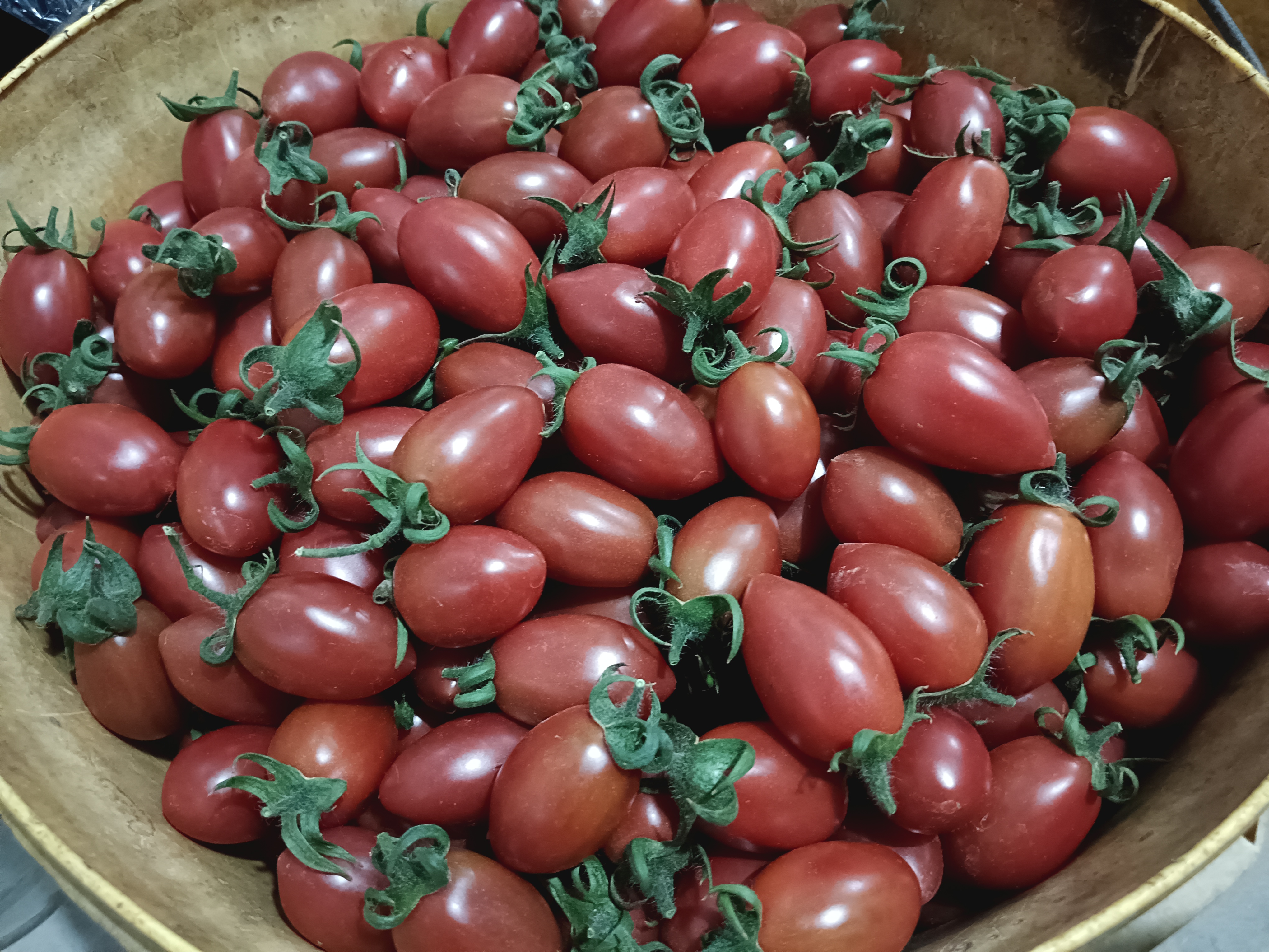 圣女果炒鸡蛋成品图