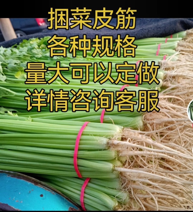 蔬菜皮筋