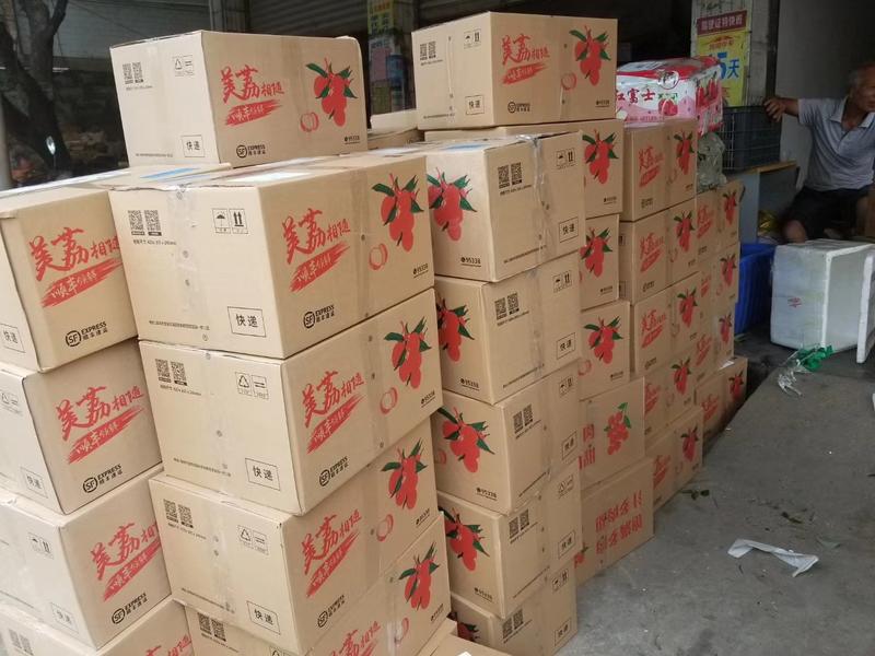 广东荔枝大量上市，品种全，货源足，价格低，欢迎来电