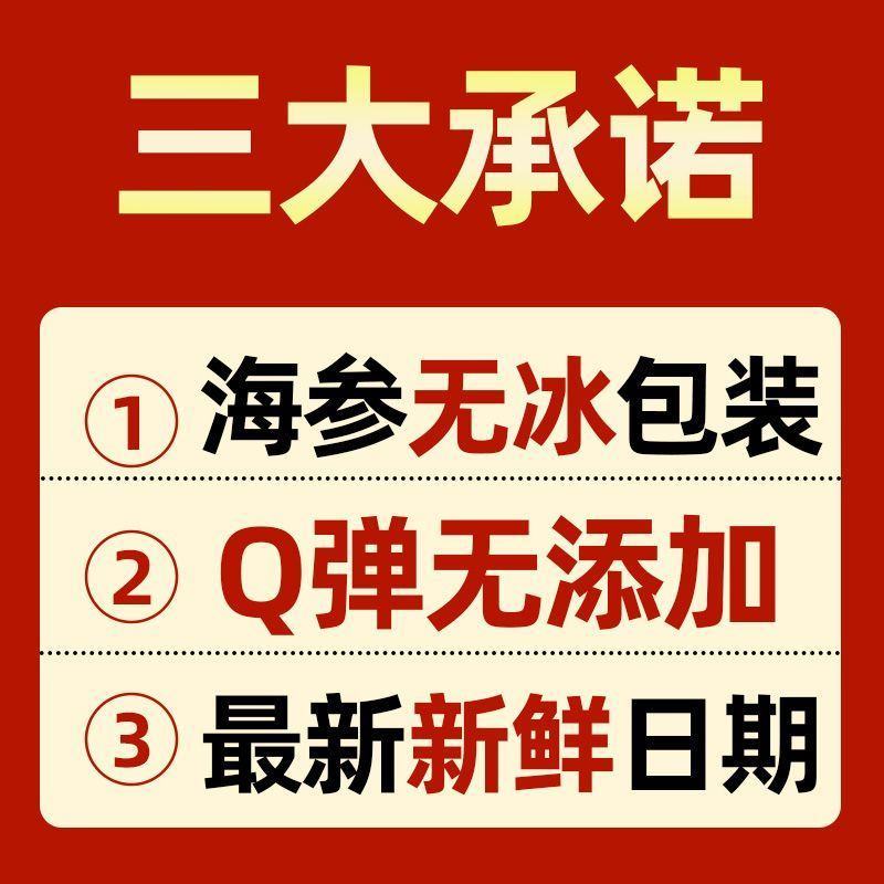 大连海参大连即食鲜食海参新鲜独立装规格齐全非淡干冷链直达