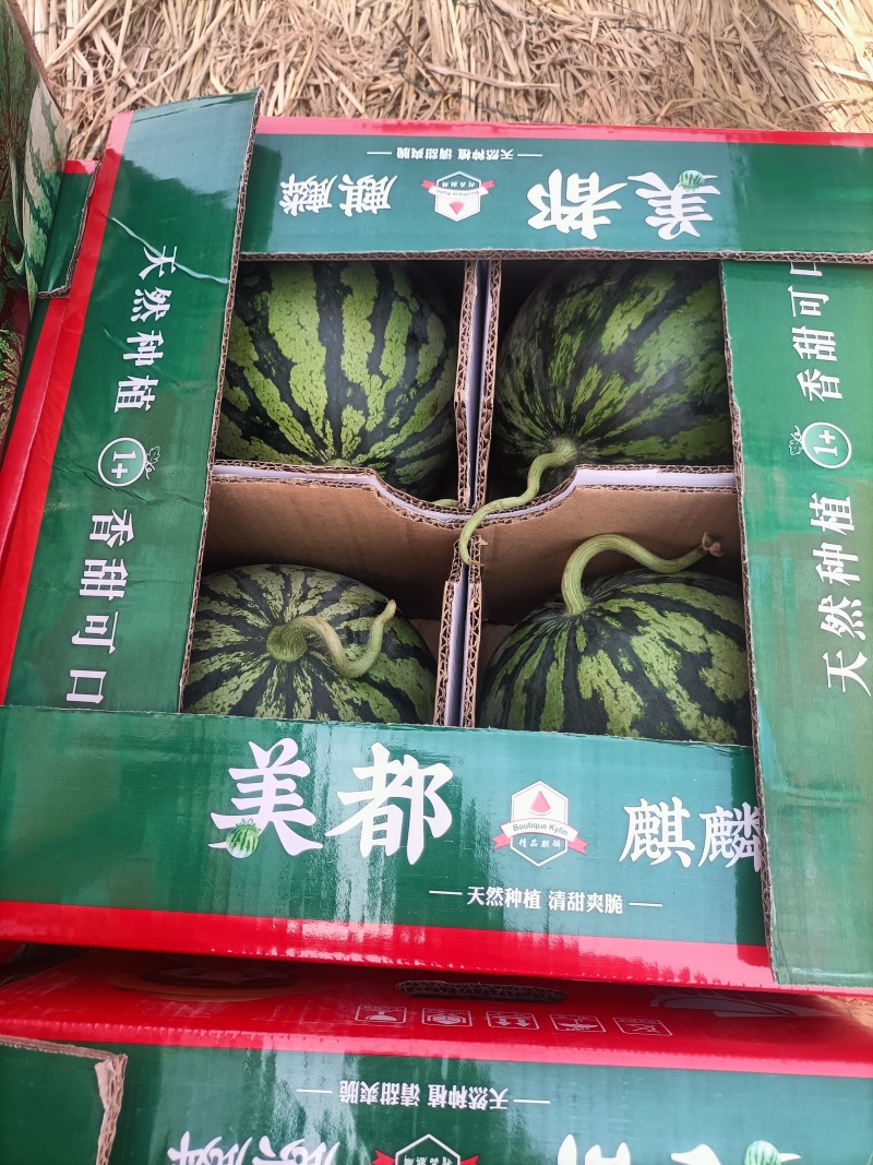 河南精品麒麟美都。--产地直发，13个糖左右。欢迎来电。