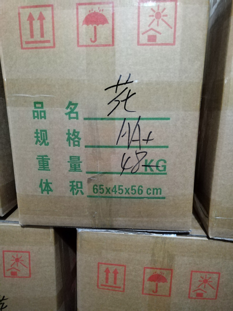 河南春栽干香菇