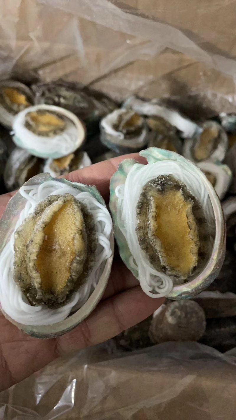 粉丝鲍鱼烧烤海鲜自助食材去内脏去牙齿蒜蓉粉丝鲍