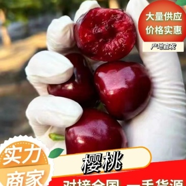 【荐】先锋大樱桃,产地供应,全国发货,可一件代发,坏烂包赔