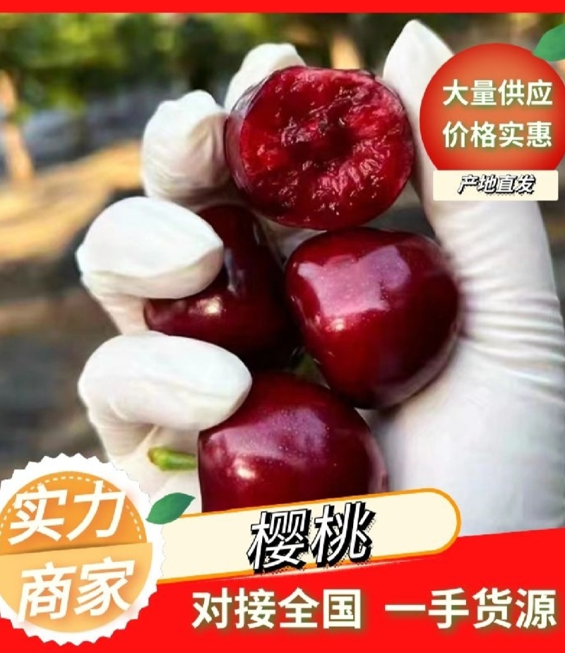 【荐】先锋大樱桃，产地供应，全国发货，可一件代发，坏烂包赔