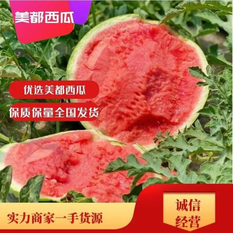 [美都西瓜批发]江苏宿迁沭阳县西瓜 0.47元/斤精品美都西瓜/ _ 一亩田