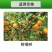 永农安力满40%联苯肼酯乙螨唑柑橘树红蜘蛛悬浮剂杀虫灵