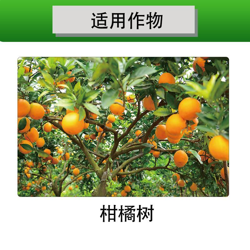 永农安力满40%联苯肼酯乙螨唑柑橘树红蜘蛛悬浮剂杀虫灵