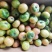 唐山滦州草莓西红柿大量上市