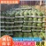 精品美都西瓜/麒麟西瓜/8424/无籽西瓜/常年供应