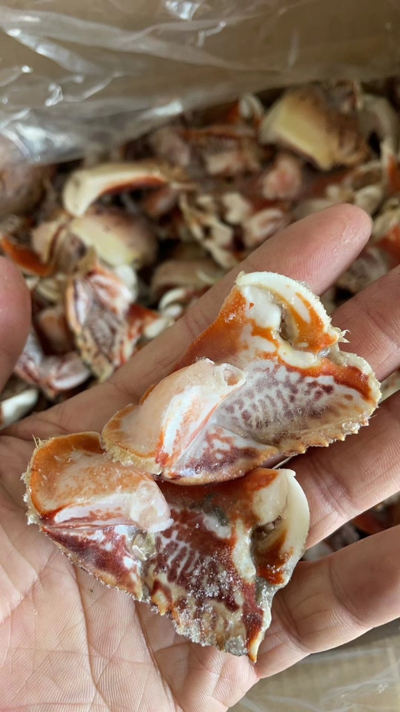 元宝蟹钳虎纹蟹钳面包蟹蟹钳
