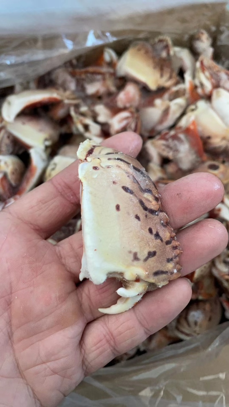 元宝蟹钳虎纹蟹钳面包蟹蟹钳