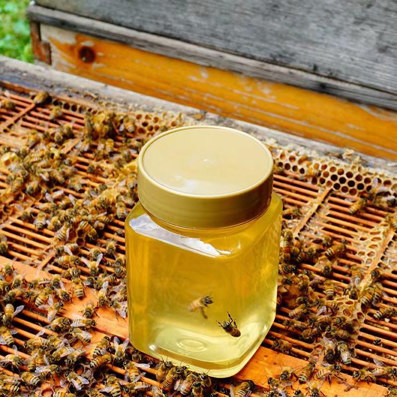 精品枣花蜜大量供应河北蜂蜜，量大从优，支持零售批发保质保量
