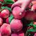 四川脆桃，春蜜，胭脂脆大量上市，全网对接，电商社团市场！