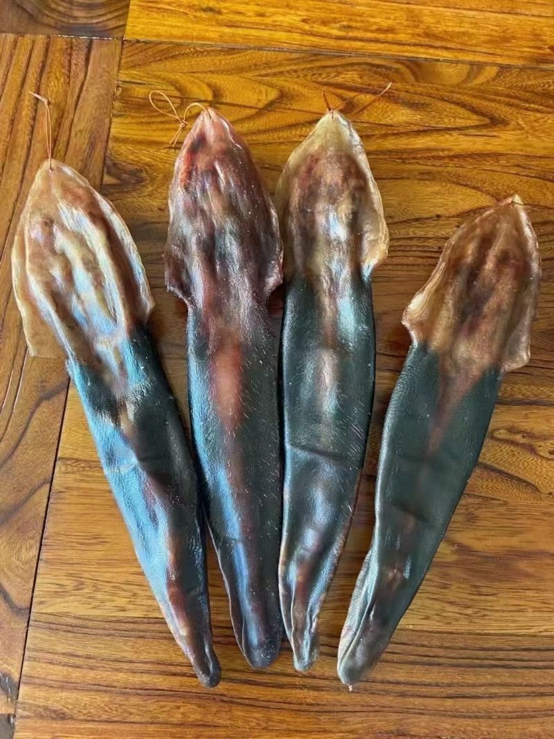 吉林白山鹿尾巴，炖汤炖肉效果特别棒，男女均可