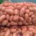 荷兰十五土豆产地直销