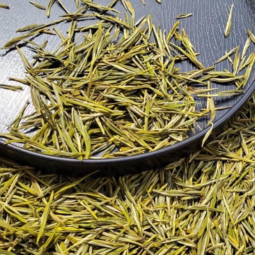 贵州1500海拔黄金叶茶叶