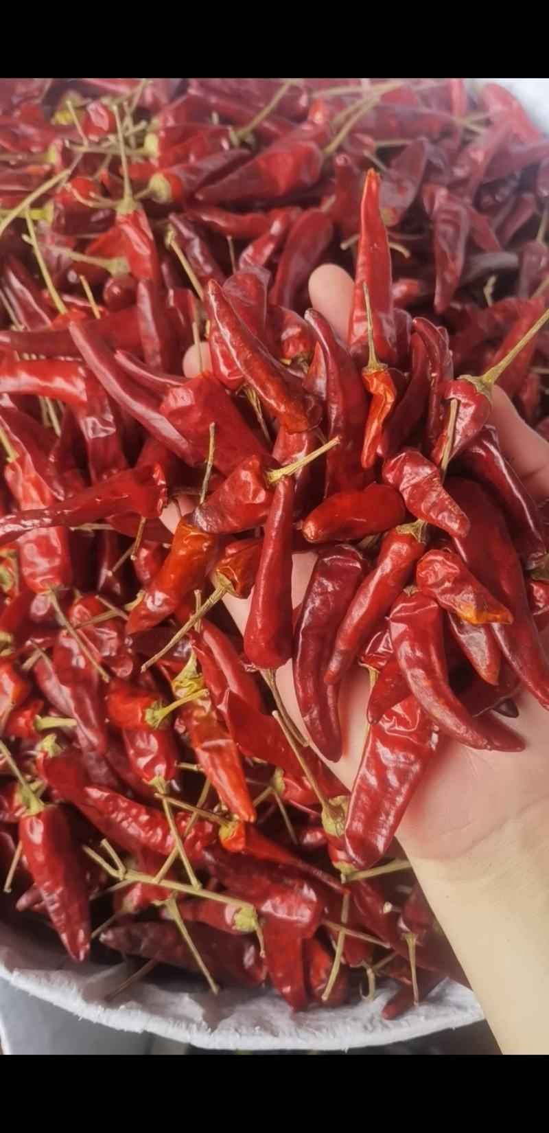 福建辣椒王，卤菜专用干辣椒保质保量规格齐全对接全国