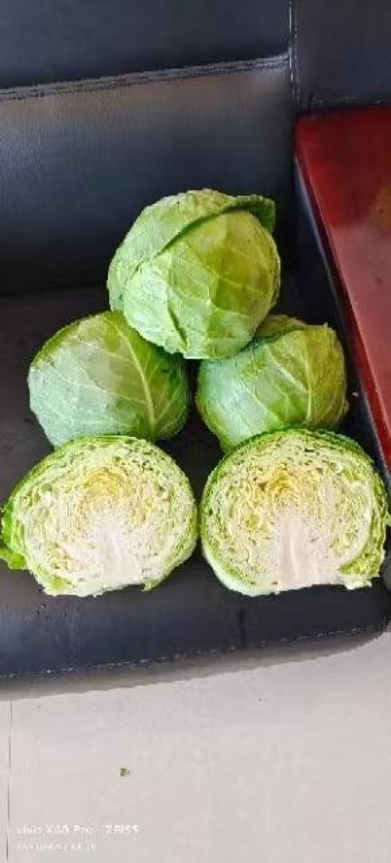 张家口万全蔬菜基地大量供应恒绿25甘蓝中甘系列，货源充足