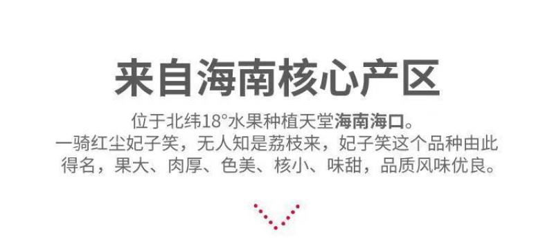 海南荔枝，妃子笑大量供应，新鲜采摘量大从优产地直发保质保量