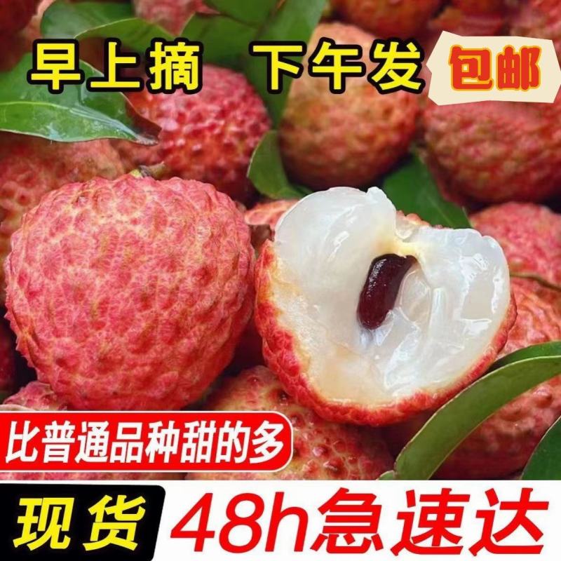 【包邮】海南妃子笑荔枝，支持一件代发，规格齐全，现货直发。