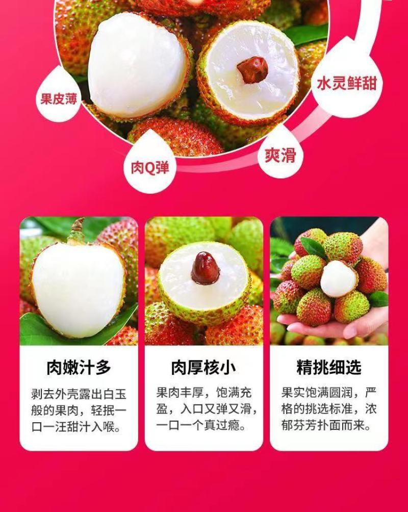 【包邮】海南妃子笑荔枝，支持一件代发，规格齐全，现货直发。