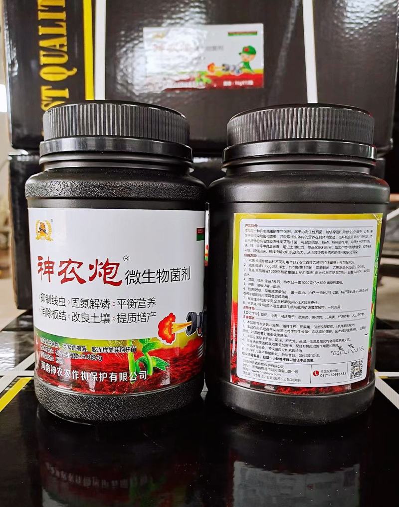 根结线虫专用淡紫紫孢菌胶冻样虫卵双杀根瘤菌病抑菌杀线虫
