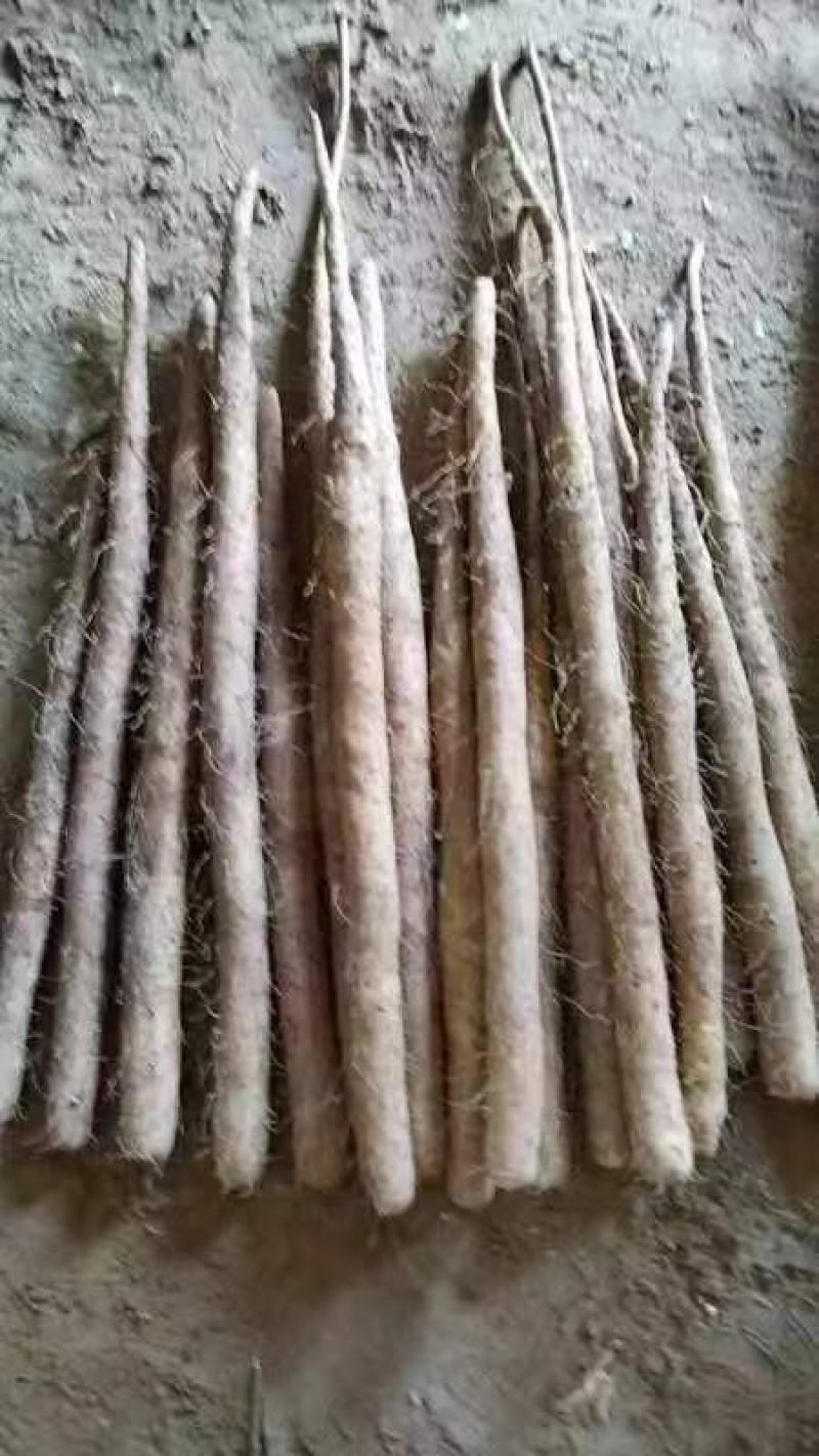 精品双棒山药产地直供规格齐全货源充足欢迎咨询