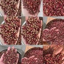 青红花椒种植基地，产地直发，大批发商对接第二张价格表