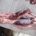 贵州牛腱子肉量大质优价格优惠品质靠谱欢迎电联