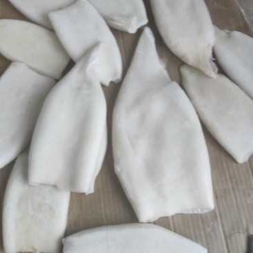 新鲜鱿鱼筒，海鲜美味，健康营养，量大优惠，速来选购！