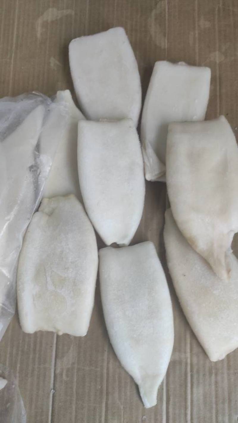 新鲜鱿鱼筒，海鲜美味，健康营养，量大优惠，速来选购！