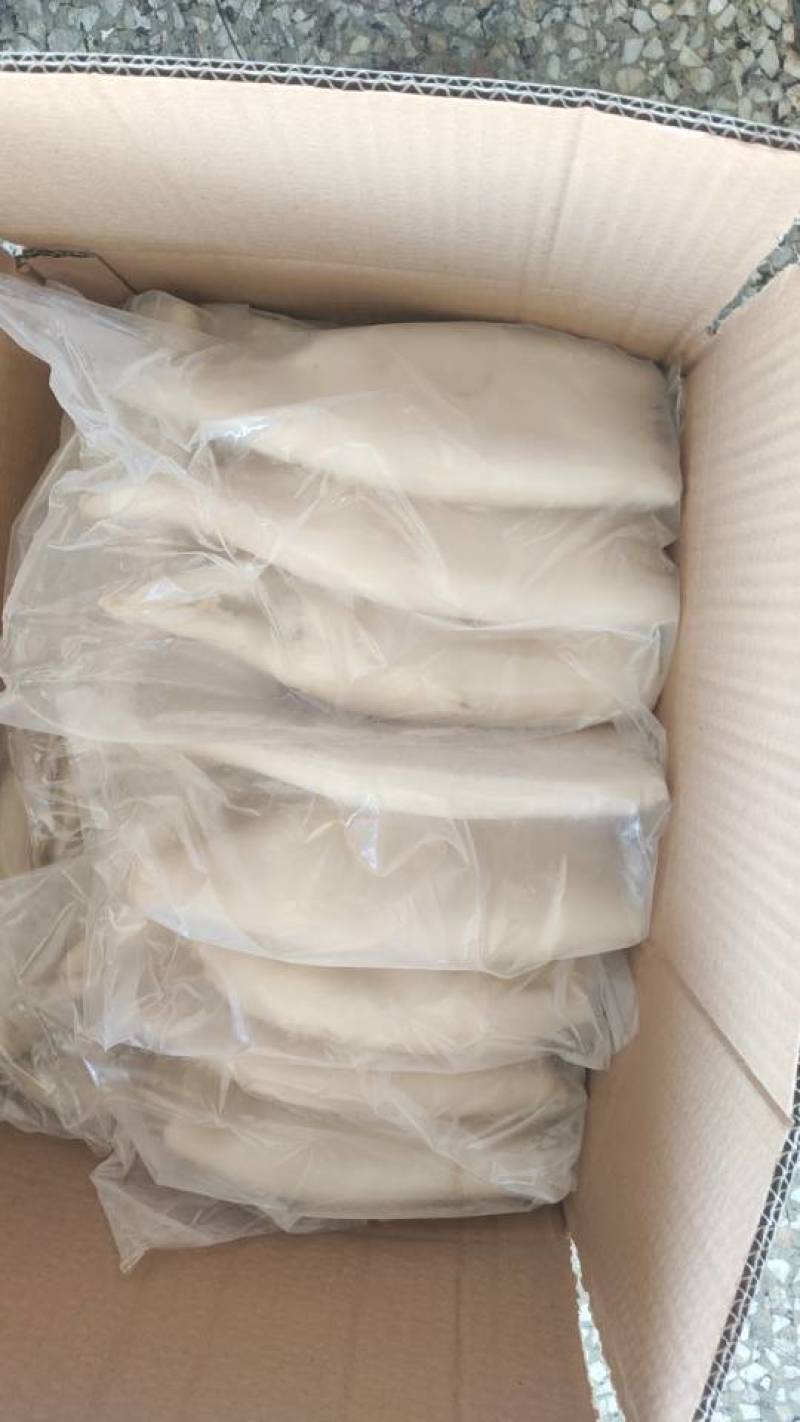 新鲜鱿鱼筒，海鲜美味，健康营养，量大优惠，速来选购！