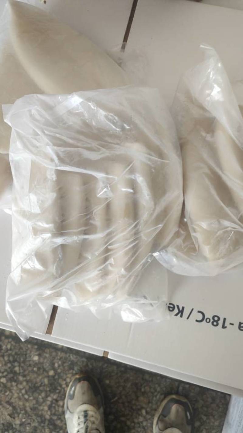 新鲜鱿鱼筒，海鲜美味，健康营养，量大优惠，速来选购！