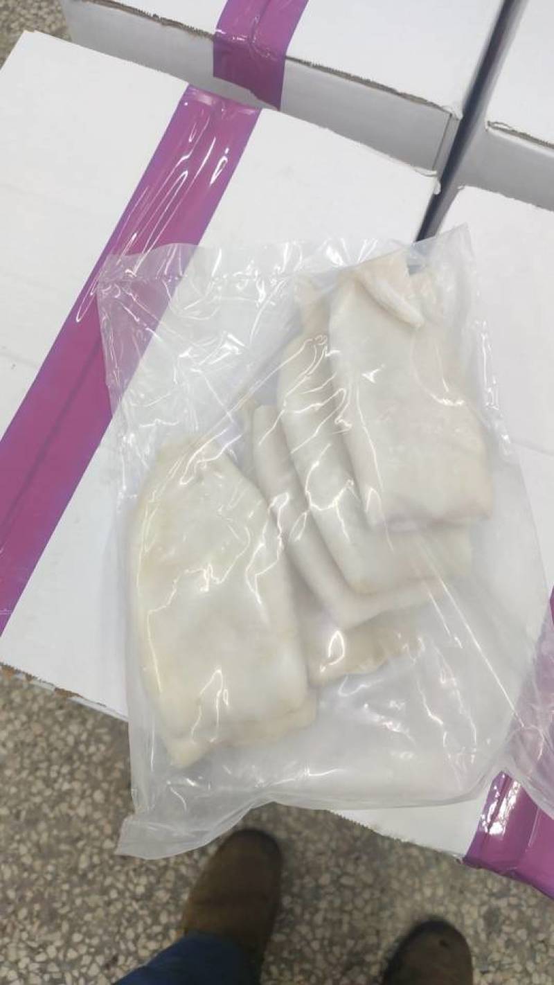 新鲜鱿鱼筒，海鲜美味，健康营养，量大优惠，速来选购！