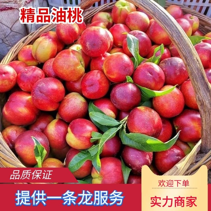 精品油桃，曙光中油杠三等各种油桃毛桃电商社团市场