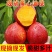 精品油桃，曙光中油杠三等各种油桃毛桃电商社团市场