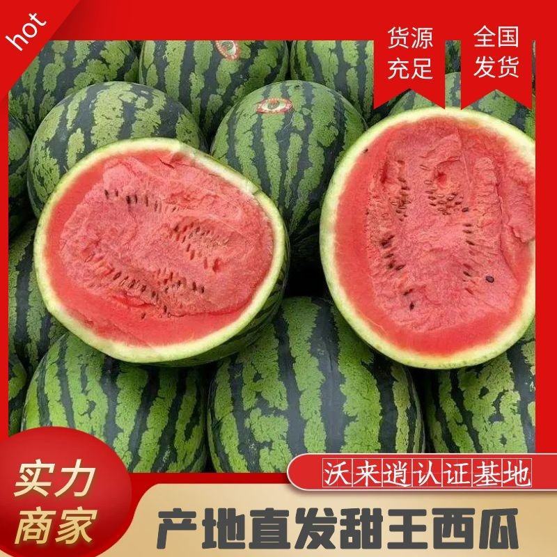 安徽甜王基地现摘现发超市市场直贡诚信经营正在热销中诚信第