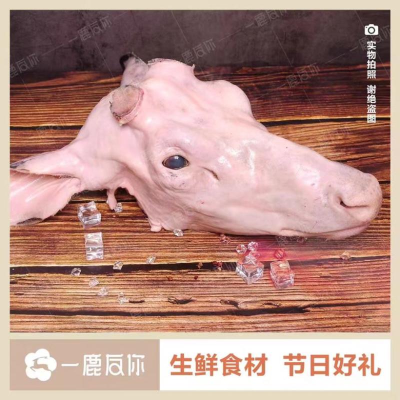 东北梅花鹿鹿头煲汤，红烧都可以，吉林双阳鹿场发货