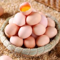 精品土鸡蛋货源充足量大从优质量保证欢迎咨询