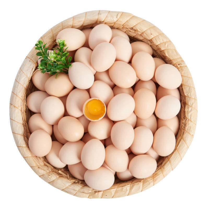 精品土鸡蛋货源充足量大从优质量保证欢迎咨询