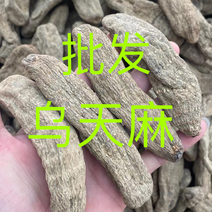 乌天麻云南产地乌天麻批发自产自销大量批发