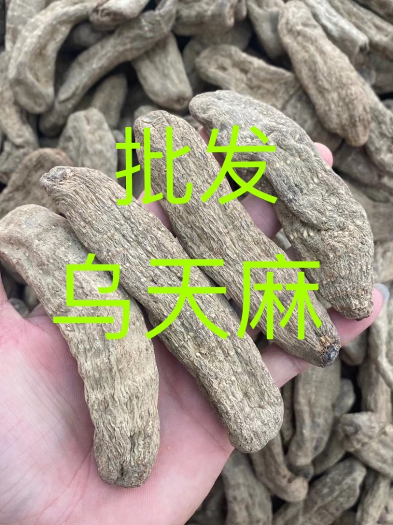 乌天麻云南产地乌天麻批发自产自销大量批发