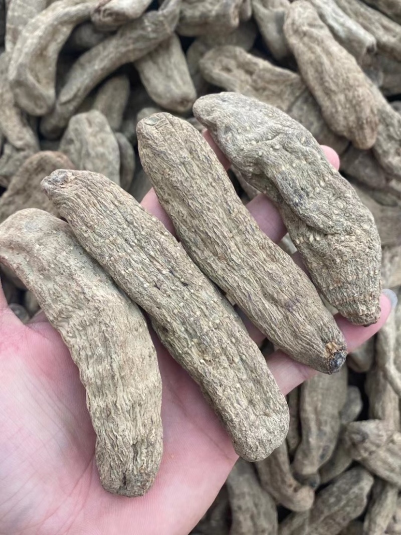 乌天麻云南产地乌天麻批发自产自销大量批发