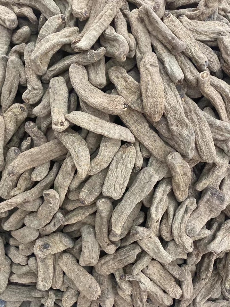 乌天麻云南产地乌天麻批发自产自销大量批发