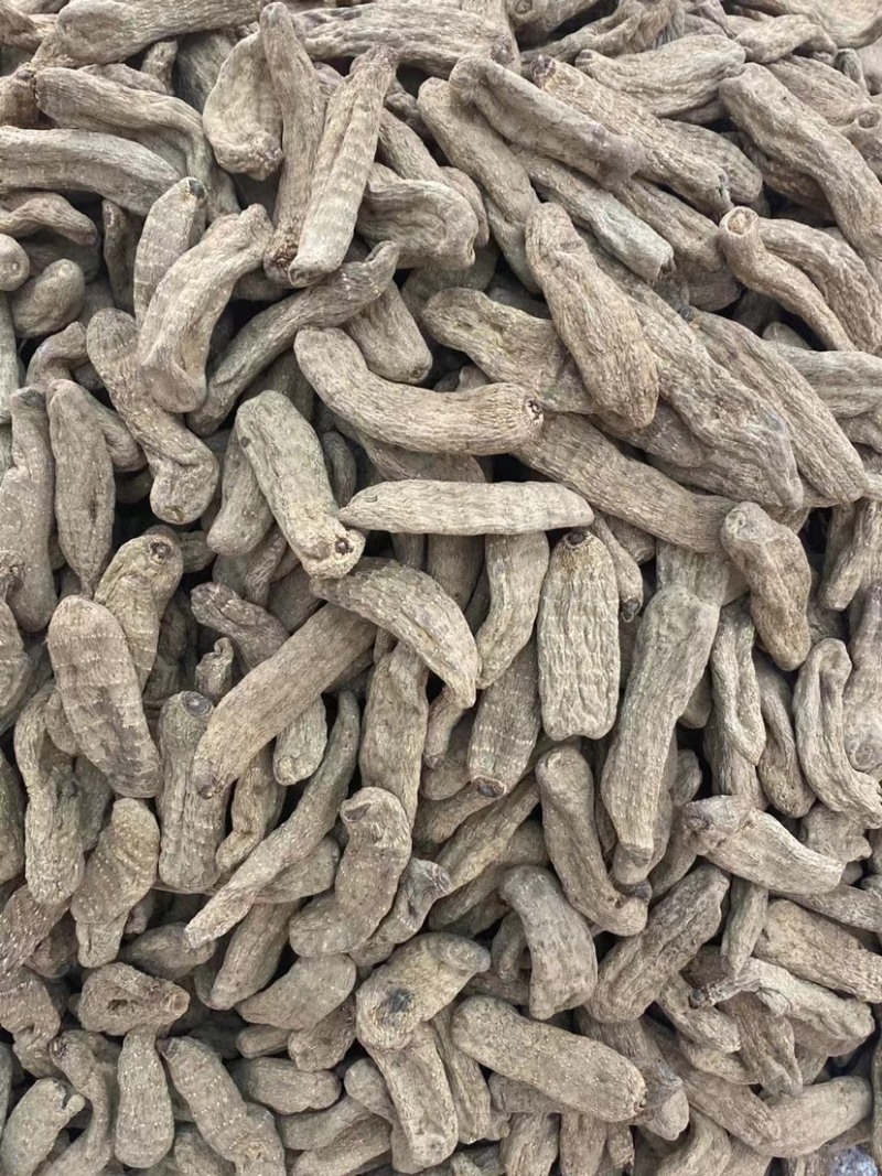 乌天麻云南产地乌天麻批发自产自销大量批发