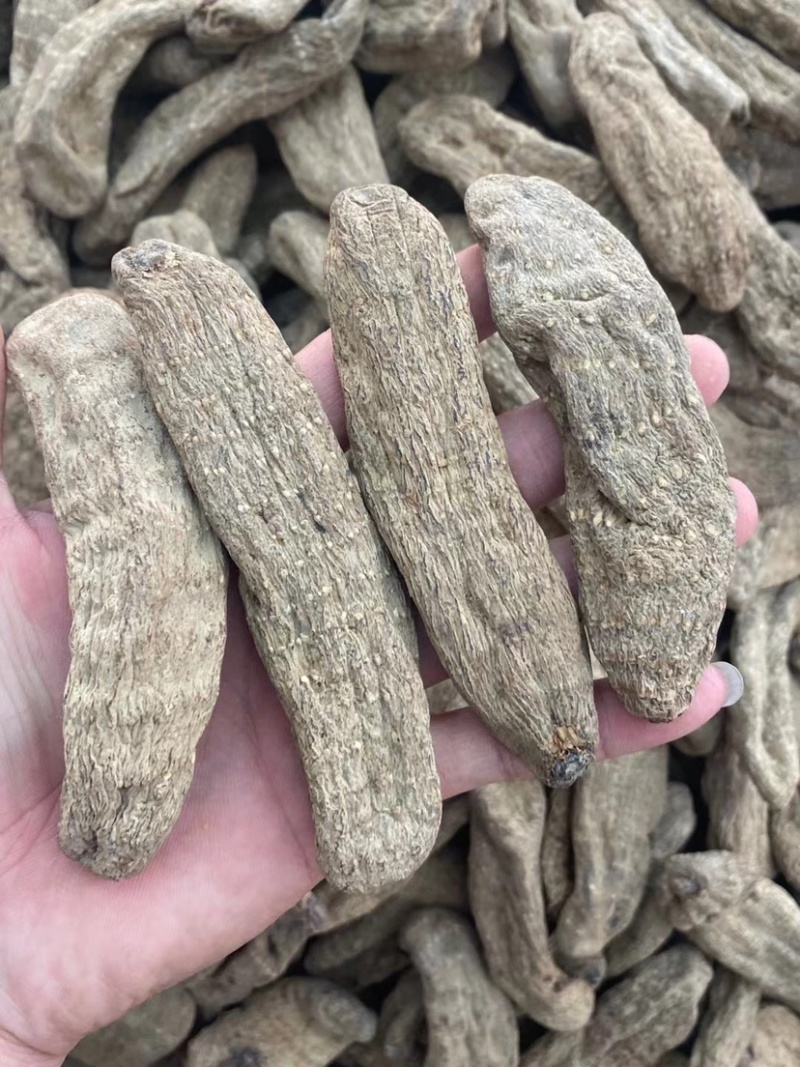 乌天麻云南产地乌天麻批发自产自销大量批发