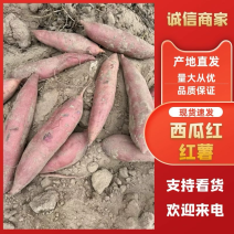 河南开封沙地西瓜红品质保证诚信经营欢迎联系接商超市场电商