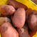云南土豆青薯9号土豆大量有货价格优惠欢迎致电联系
