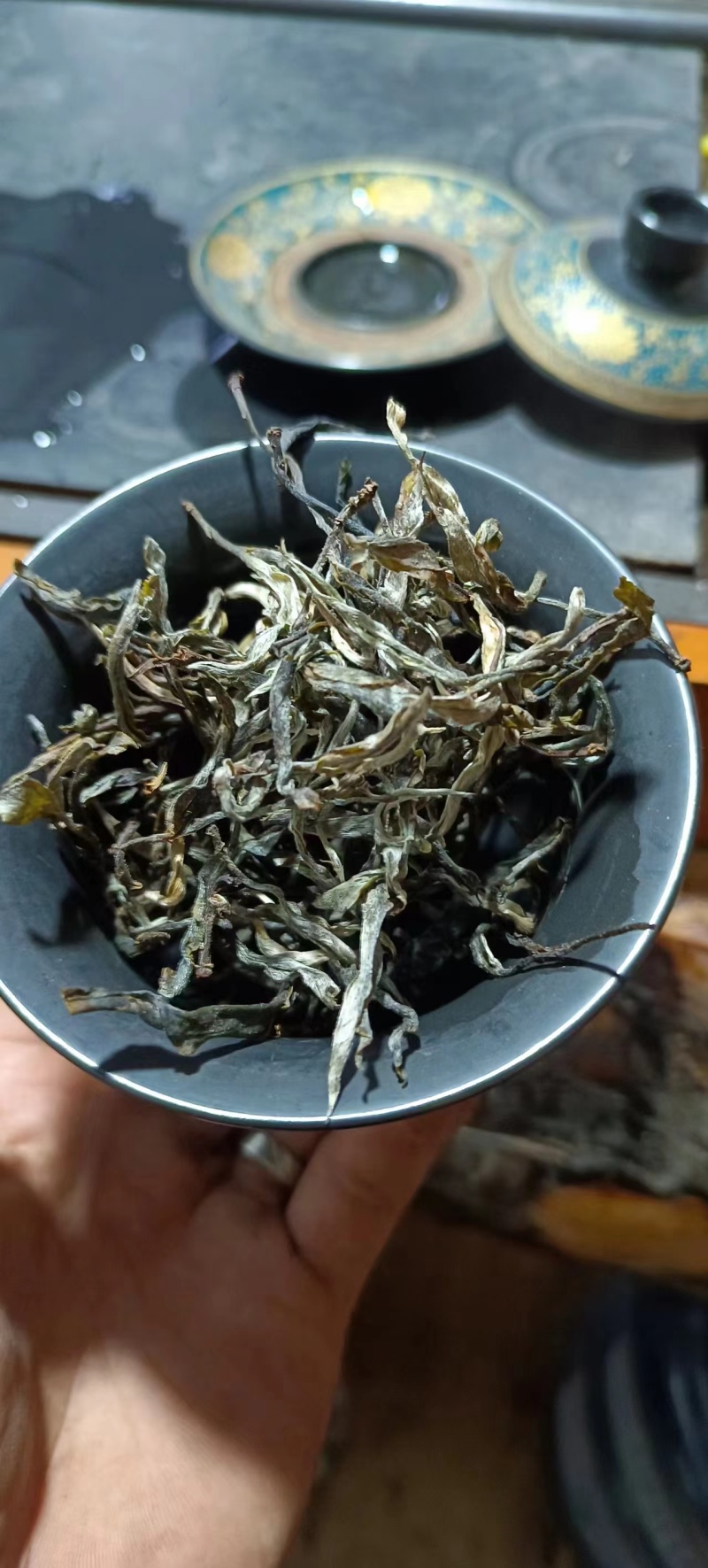 普洱茶春茶